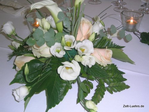 zur&uuml;ck zur &Uuml;bersicht!